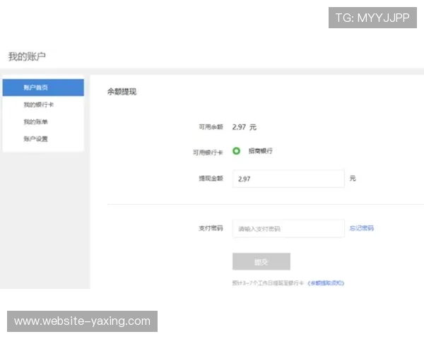 亚星在线娱乐支付方式多样化，便捷安全的充值与提现流程详解